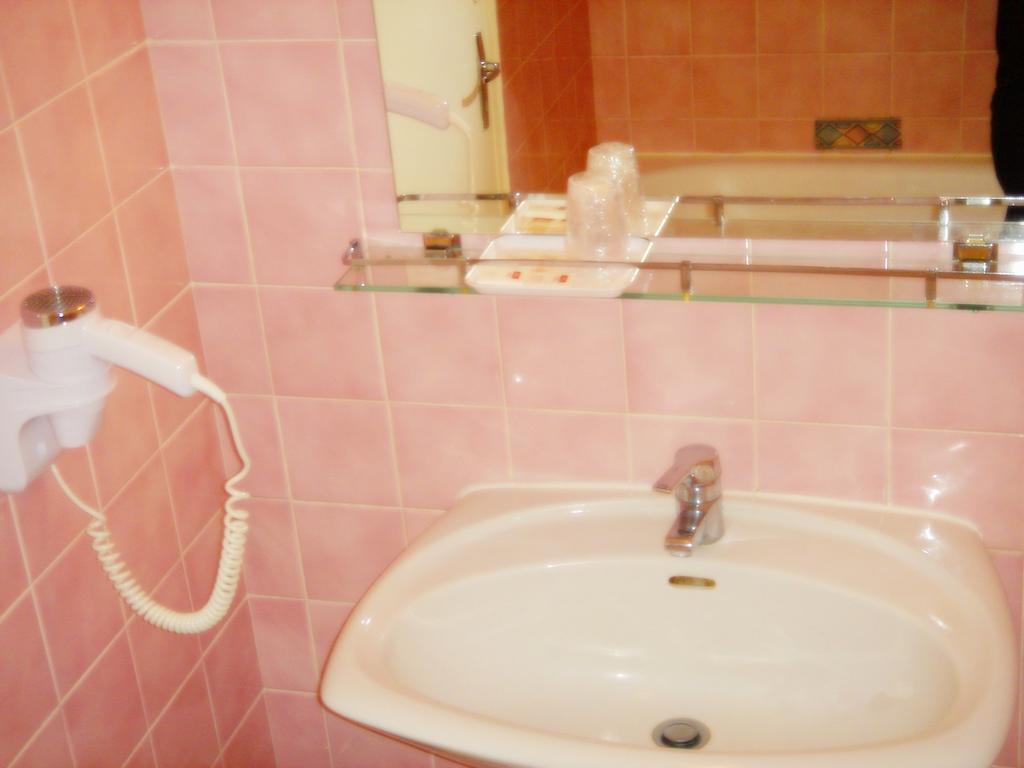 Motel Des Bruyeres Lamotte-Beuvron Værelse billede